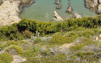 3 randonnées à faire en Corse