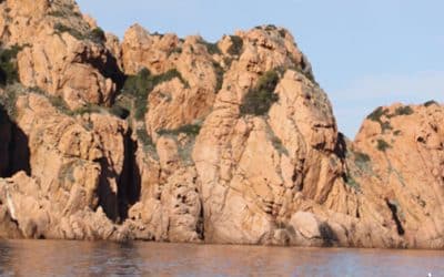 Visites incontournables en Corse : volume 1